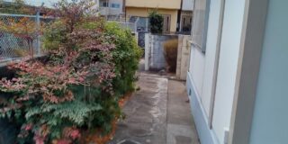 野間アプローチ